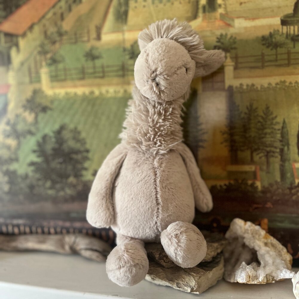 Jellycat Rare Bashful Llama